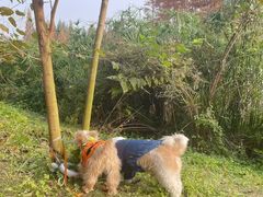 -白鹭湾湿地公园