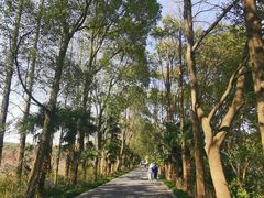 -同里国家湿地公园