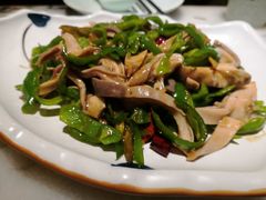 尖椒炒肚丝-京城小江南·土菜馆·蒸白鱼(东四十条店)