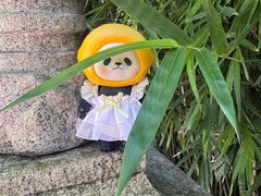 -庆春朴门