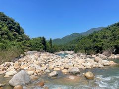 -海南霸王岭国家森林公园