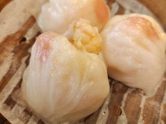 -憶廟街 X 沙角邨(太古城店)