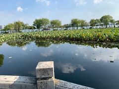 -无锡蠡湖国家湿地公园-蠡园