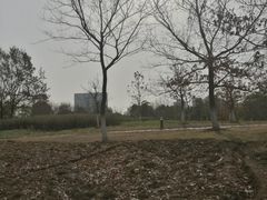 -白塘生态植物园