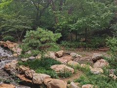 -大连植物园