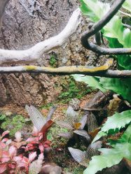 -酷嗒动物文化乐园(cutezoo西溪乐天城店)