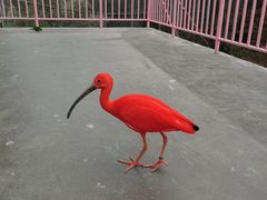 -宁波野生动物园