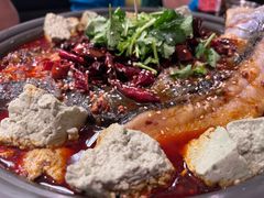 -师烤·豆花烤鱼(广州荔湾扬韬广场店)