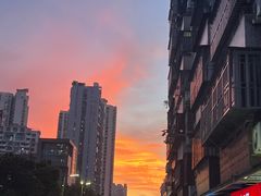 -水围村