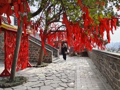 -蓬莱阁景区
