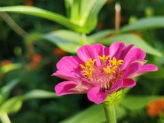 -花溪公园