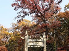 -灵谷景区