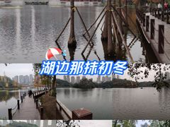 -重庆彩云湖湿地公园