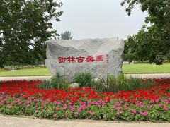 -御林古桑园