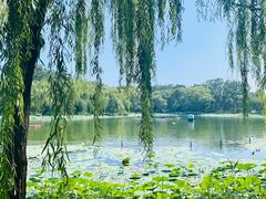 -WhaleSports户外水上运动俱乐部(朝阳公园店)