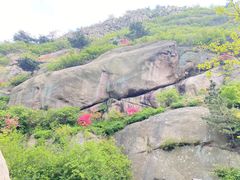 -青岛大珠山景区