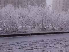 -清真马杰山牛肉汤馆