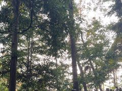 -常德桃花源景区