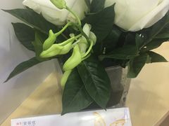 -精益眼镜(春熙路店)