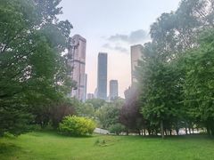 -大望京公园