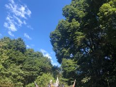 -青城山