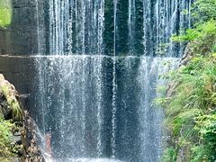 -大奇山国家森林公园