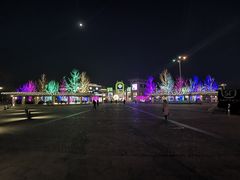 -Strawberry Butterfly草莓蝴蝶日式水果挞