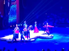 -珠海横琴长隆《卡卡虎奇遇记》