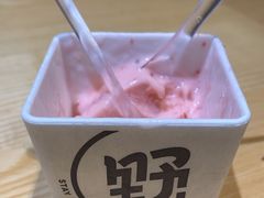 -野人先生现做冰淇淋(北京顺义祥云小镇店)