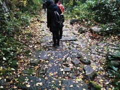 -东天目山风景区