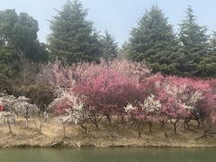 -白塘生态植物园
