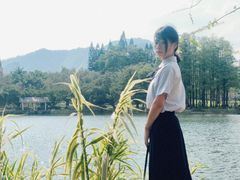 -四海公园(南山区)