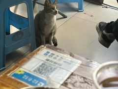 -陈氏老字号十三小炸炸店
