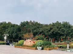 -金山公园