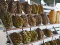 榴莲-阿龙榴莲摊