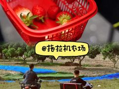 -栖露营camping·天幕烧烤·团建拓展·采摘营地