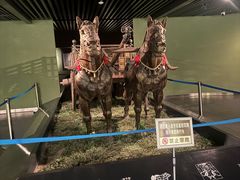 -鄂尔多斯青铜器博物馆