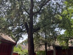-红螺寺