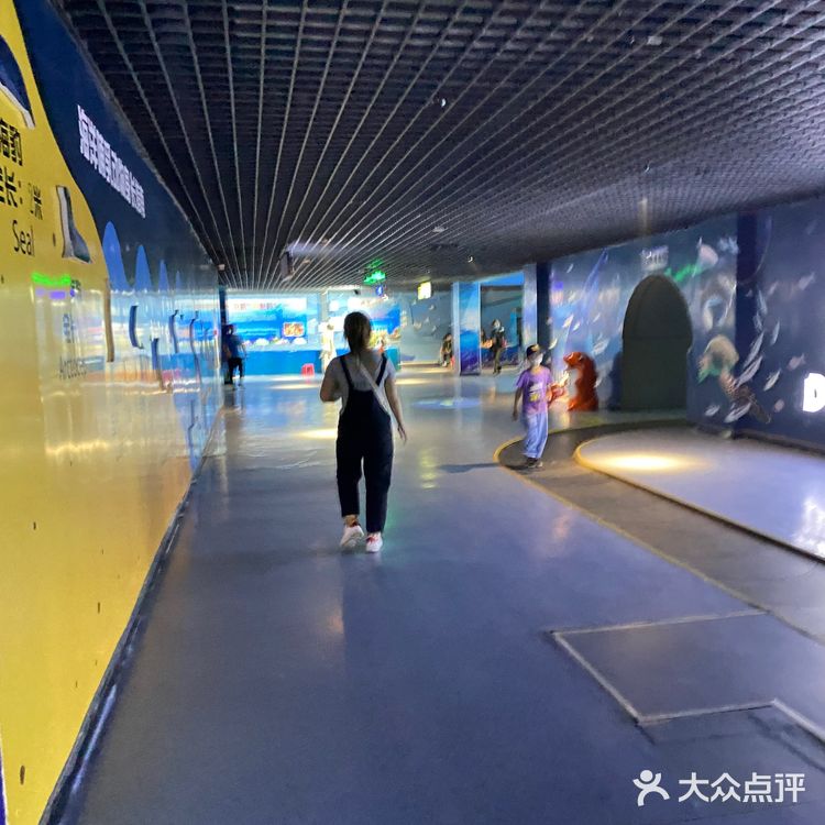 秦皇岛新澳海底世界