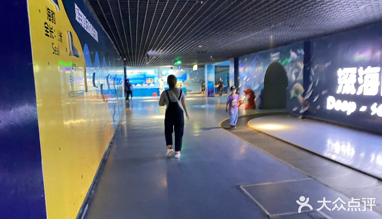 秦皇岛新澳海底世界