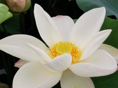 -金山公园