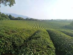 -敬亭山风景名胜区