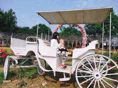 -武汉紫薇都市田园