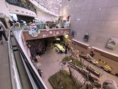 -陕西自然博物馆