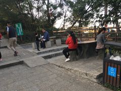 -仙岳公园