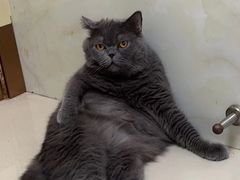 -宠颐生宠物医院·骨外科·犬猫全科诊疗中心(池州店)