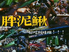-邱氏胖泥鳅(大堰店)
