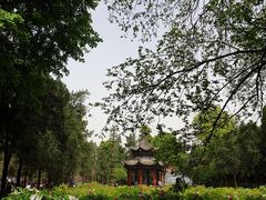 -洛阳白马寺