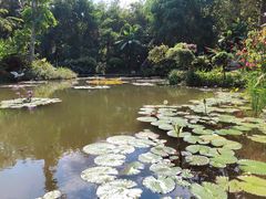 -中国科学院西双版纳热带植物园