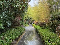 -腾冲洞山温泉村